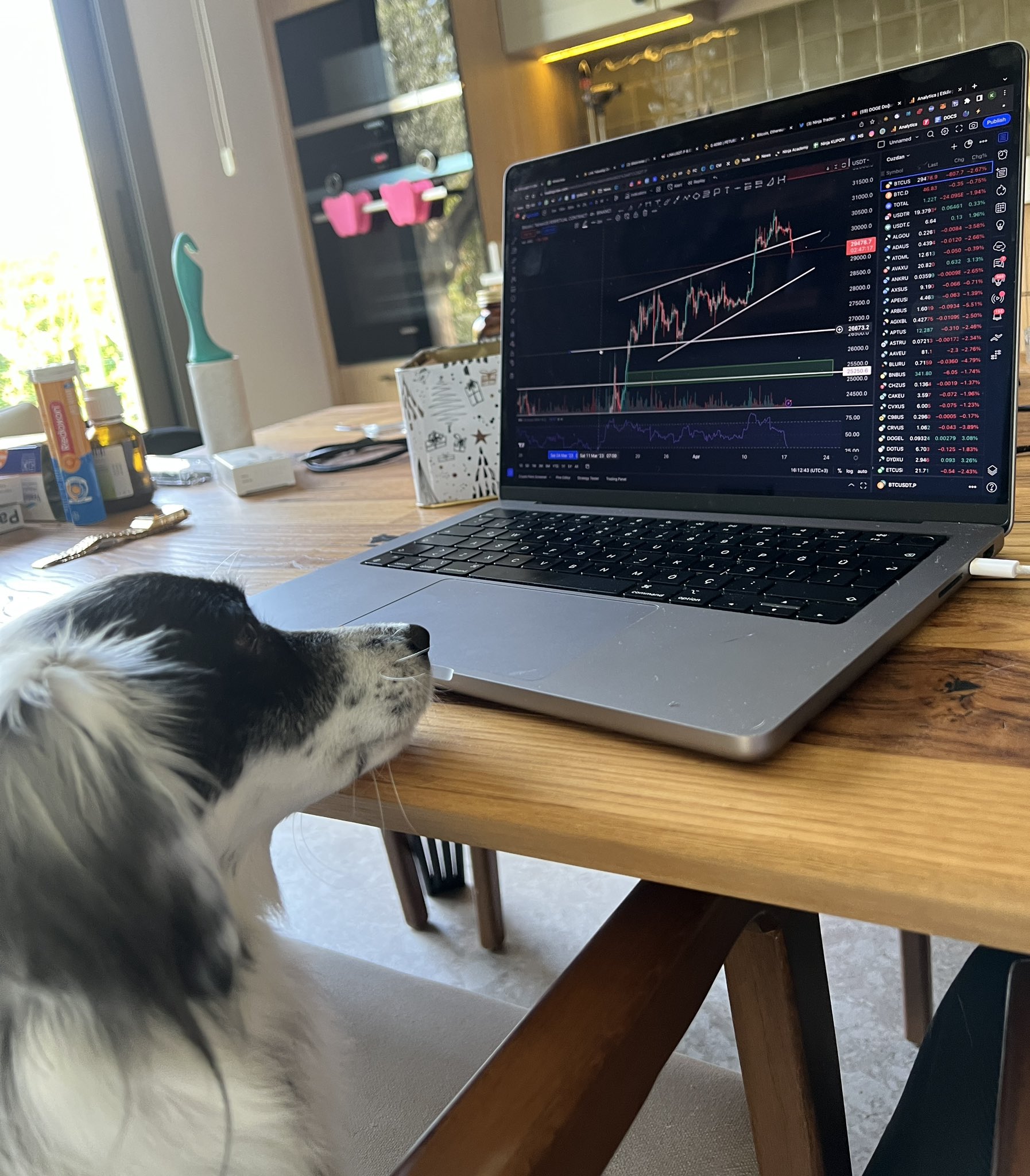 Crypto Kemal's image